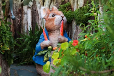World of Beatrix Potter Attraction