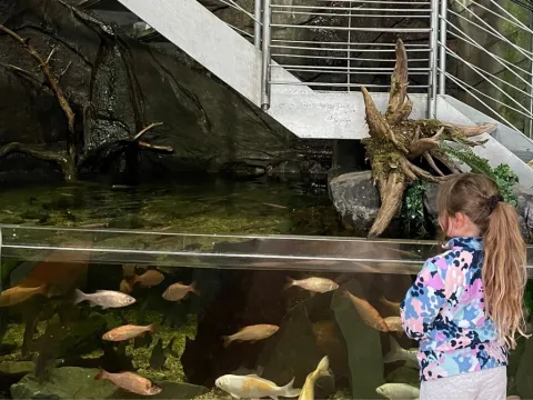 Events mobile sized 3