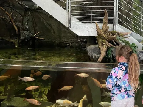 Aquarium