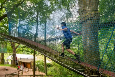 Tree Top Nets at Brockhole
