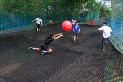 Tree Top Nets at Brockhole