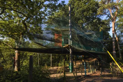Tree Top Nets at Brockhole
