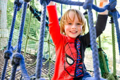 Tree Top Nets at Brockhole