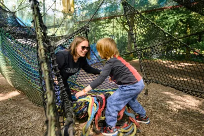 Tree Top Nets at Brockhole