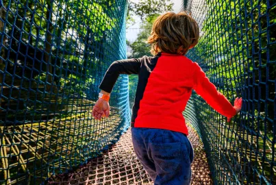 Tree Top Nets at Brockhole