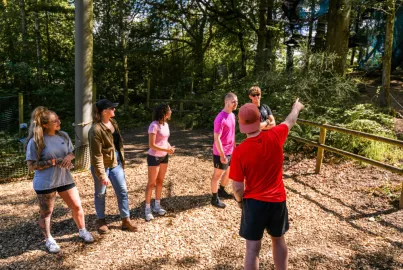 Tree Top Nets at Brockhole