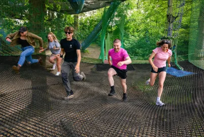 Tree Top Nets at Brockhole
