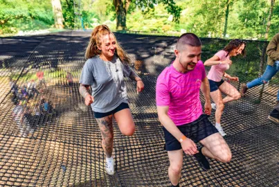 Tree Top Nets at Brockhole