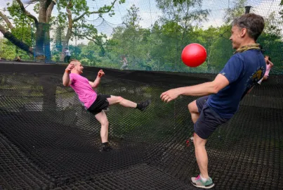 Tree Top Nets at Brockhole