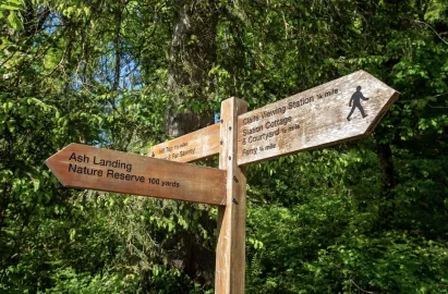A wooden fingerpost sign standing in a lush green woodland. The arrows point toward several local destinations: "Ash Landing Nature Reserve 100 yards," "Claife Viewing Station 1/4 mile," and "Hill Top 1 1/2 miles." Sunlight filters through the dense canopy of trees in the background.