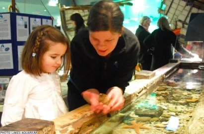 Lakes Aquarium (Yellow Cruise to Lakeside Pier)