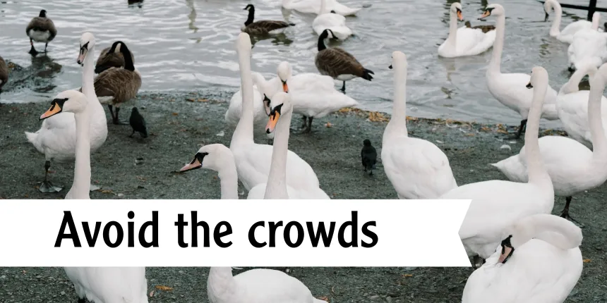 Avoid the crowds