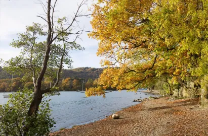 Cockshott Point is 10 mins walk from Bowness Pier
