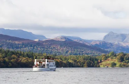 Swan enjoying autumnal views across Windermere