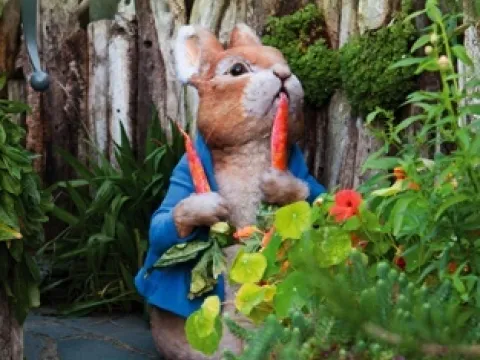 World Of Beatrix Potter Optimised