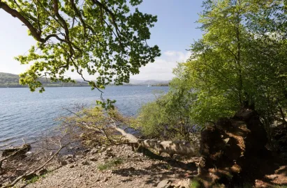 The lake shore near Bownes pier