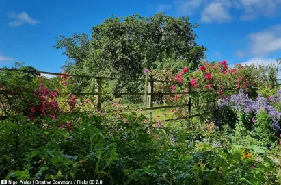 The house and gardens around Hill Top