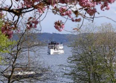 One of our Steamers in the Spring sunshine
