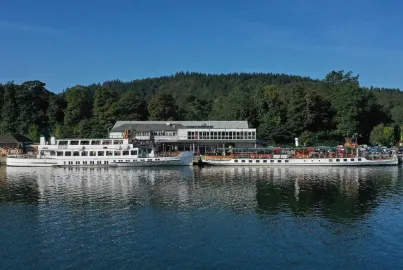 Teal and Tern at Lakeside
