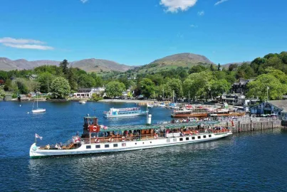 Tern on Windermere