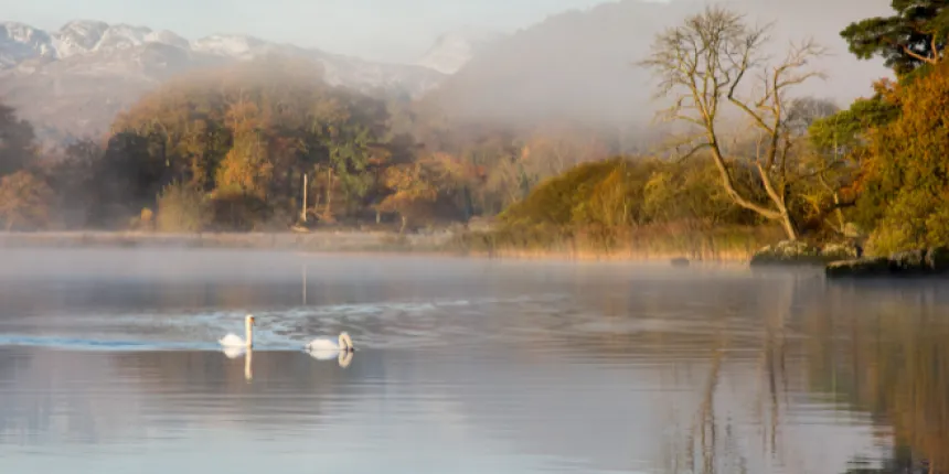 Untitled design6 2024 10 24 092945 eihn 74b06980037bcc7d151998ffa0138e01