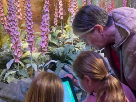 World of Beatrix Potter