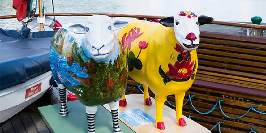 Herdwick Sheep Mileage Web News Banner Optimised