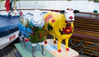 Are these the most travelled sheep in the Lake District?