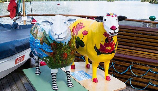 Are these the most travelled sheep in the Lake District?