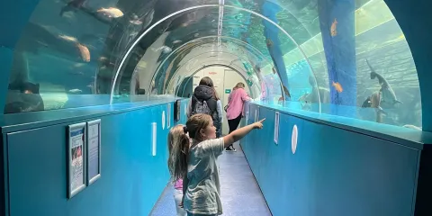 Aquarium