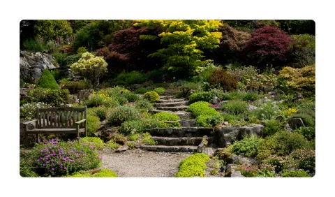 Holehird gardens