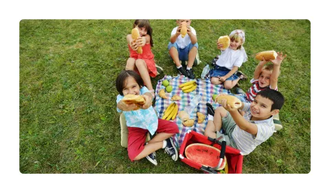 Enjoy a picnic