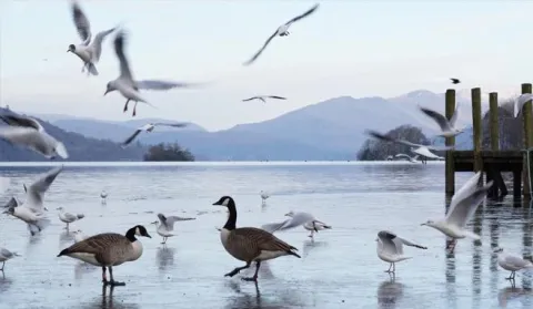 Frozen windermere news web 02