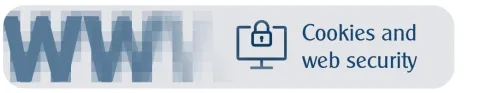 Privacy inline web security optimised