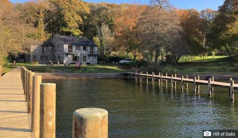 Hill of oaks news web inline 01