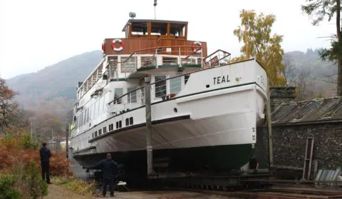 Teal TLC Winter News 03