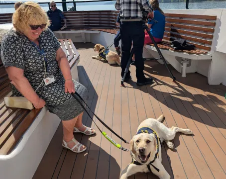 Guide dog settling onboard
