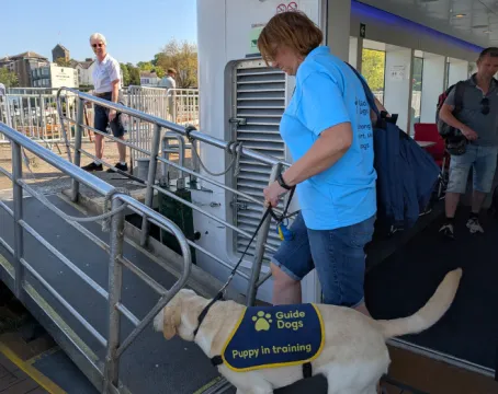 Guide dog leaving the boat