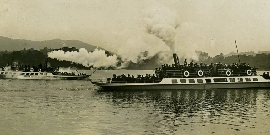 Cygnet Teal Historical