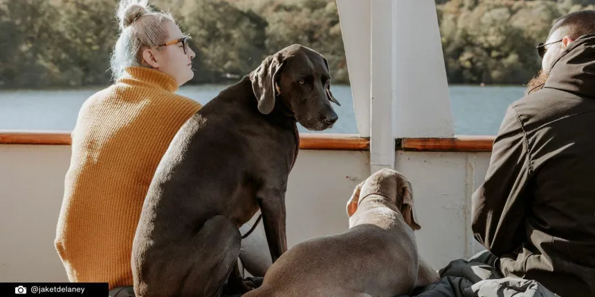 Dog friendly acitivities in the Lake District