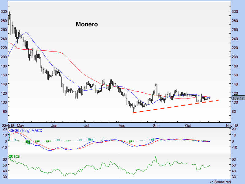 Monero focus 231018