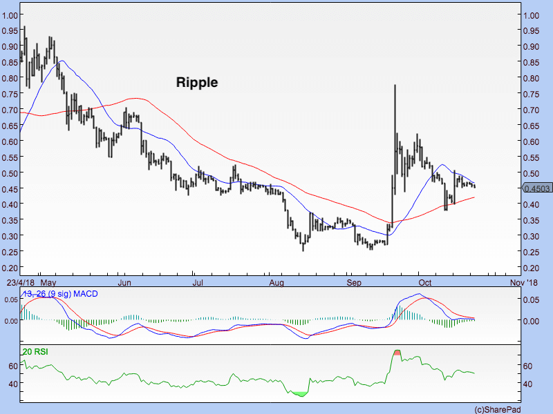 Ripple focus 231018