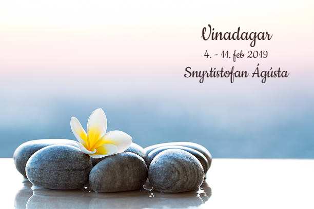 Ekki missa af Vinadögunum okkar! Ekki missa af Vinadögunum okkar!