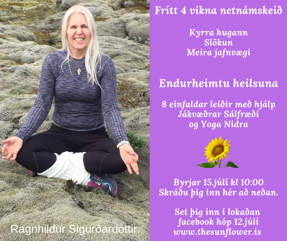 Frítt 4 vikna netnámskeið Frítt 4 vikna netnámskeið