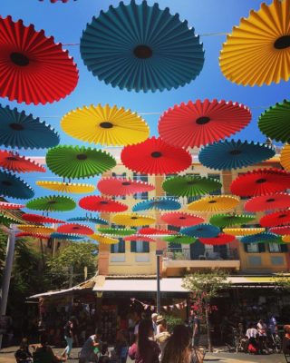 Carmel Market Live2Leave