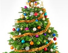 Merry Christmas 2015