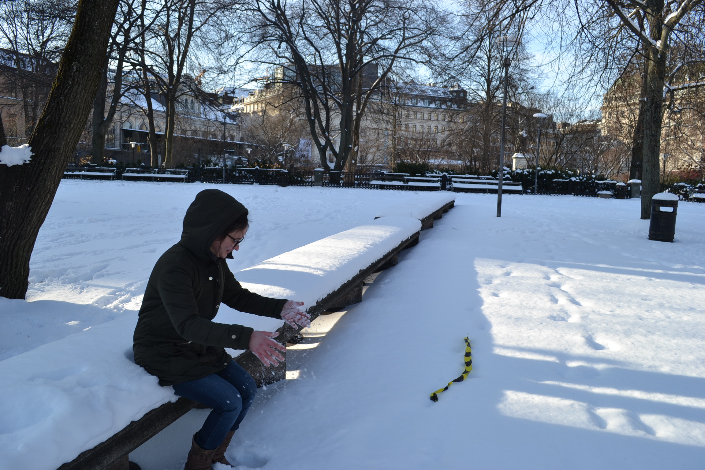 Stockholm in the Winter Stockholm in the Winter