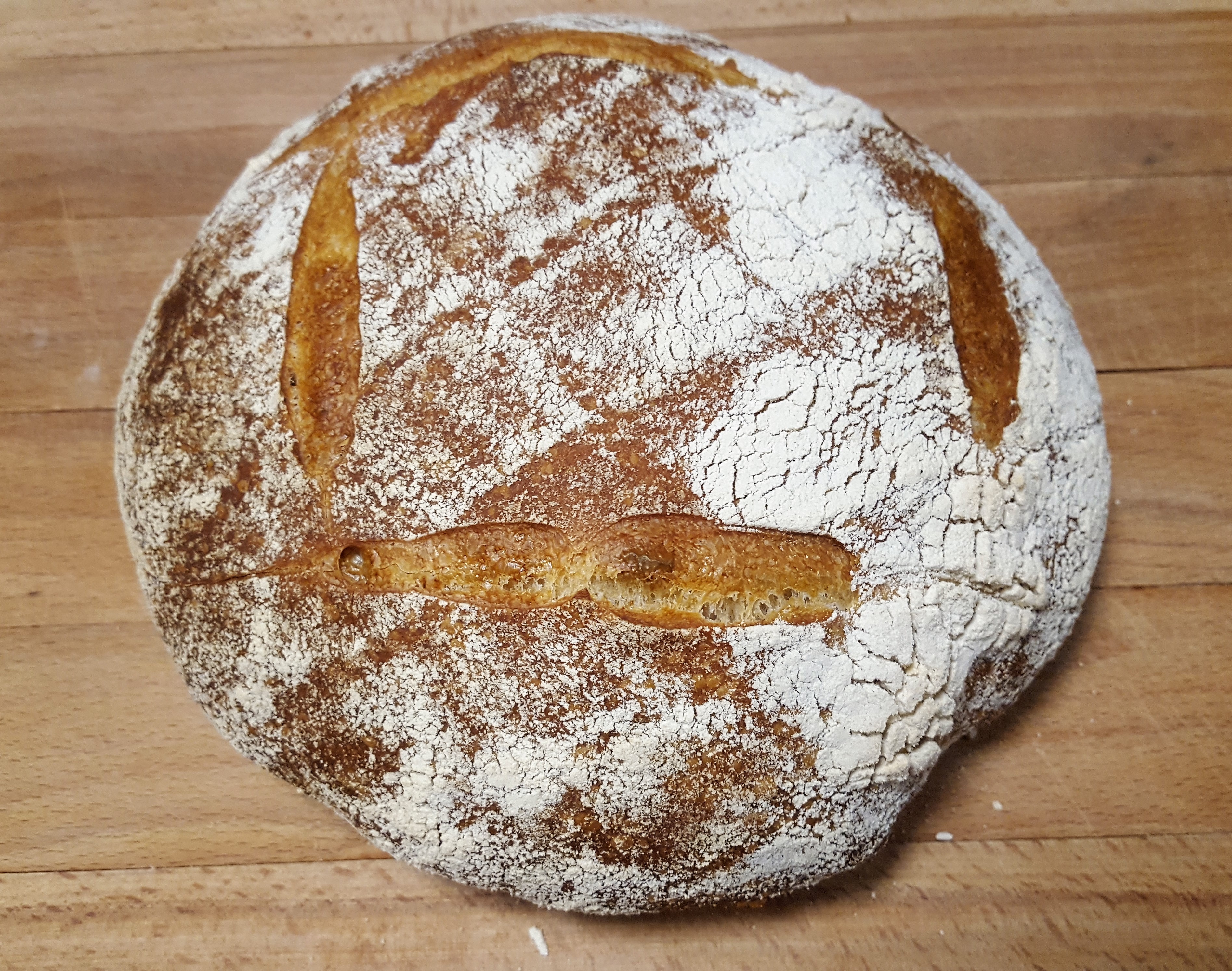 Sourdough Starter and Homemade Sourdough Bread