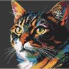 'Bright Tabby Cat'