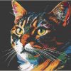 'Bright Tabby Cat' - Image 6